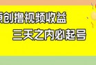 最新撸视频收益玩法，一天轻松200+