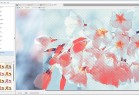 滤镜特效工作室 Filter Forge Studio Edition v13.5.4275