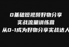 0基础短视频好物分享实战流量训练营，从0-1成为好物分享实战达人