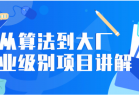 从算法到大厂就业级别项目讲解