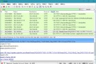 Wireshark 网络抓包工具 v4.2.5