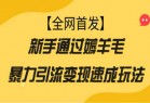 【全网首发】新手通过薅羊毛暴力引流变现速成玩法