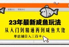 2023全网咸鱼最新玩法单店铺日入300加