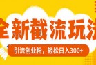 全新截流玩法，精准引流创业粉，轻松日入300+