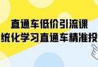 直通车-低价引流课，系统化学习直通车精准投放（14节课）