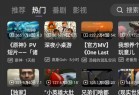 BBLL（第三方哔哩哔哩） 支持TV+pad