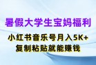 暑假大学生宝妈福利，小红书音乐号月入5K+，简单复制粘贴就能赚收益