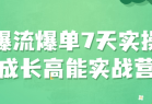 爆流爆单7天实操成长高能实战营