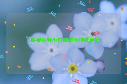 91影视视频小说破解版持续更新