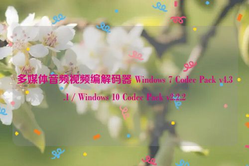 多媒体音频视频编解码器 Windows 7 Codec Pack v4.3.1 / Windows 10 Codec Pack v2.2.2