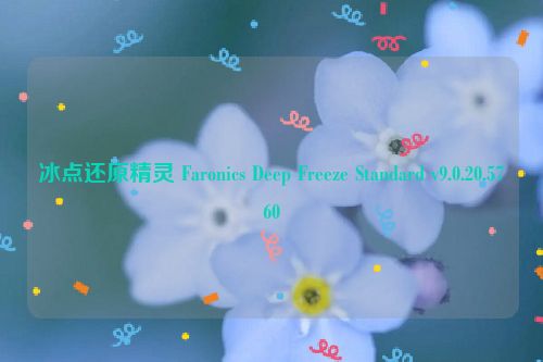 冰点还原精灵 Faronics Deep Freeze Standard v9.0.20.5760