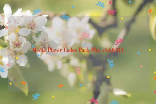 Media Player Codec Pack Plus v4.6.0.313