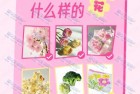 免费喝爷爷不泡茶樱花吸吸冻奶茶 全国116家门店