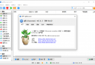 轻量级BT客户端 qBittorrent v5.0.3 / qBittorrent Enhanced v5.0.2.10