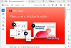 Adobe Acrobat Reader DC 2024.005.20307 Continuous