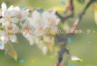 6月21日星期六，农历五月廿六，周末愉快，平安喜乐