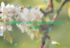 3月5日星期三，农历二月初六，工作愉快，平安喜乐