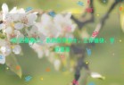 5月7日星期三，农历四月初十，工作愉快，平安喜乐