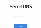 SecretDNS v3.6.10