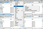 4窗口资源管理器 Q-Dir v11.97