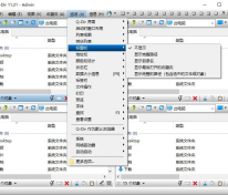 4窗口资源管理器 Q-Dir v11.97