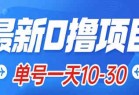 最新0撸小项目：星际公民，单账号一天10-30，可批量操作