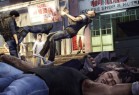 《热血无赖 / Sleeping Dogs: Definitive Edition》中文版