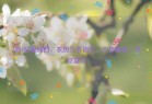 4月3日星期四，农历三月初六，工作愉快，平安喜乐