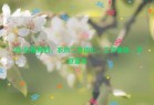 3月6日星期四，农历二月初七，工作愉快，平安喜乐