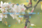 3月29日星期六，农历三月初一，周末愉快，平安喜乐