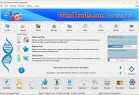 WinTools.one Home / Professional v24.11.1