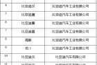 2025年新能源汽车下乡活动启动 车型目录公布