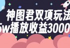 神图君双项玩法5w播放收益3000+