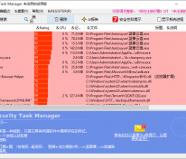 安全任务管理器 Security Task Manager v3.1