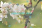 河北移动5元话费，非必中