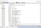 标准资源编辑工具 Resource Hacker v5.2.8.448 简体中文汉化版