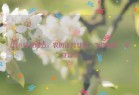 2月21日星期五，农历正月廿四，工作愉快，平安喜乐