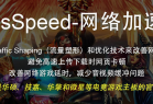 网络加速器 cFosSpeed v13.02 build 3003