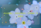 6月3日星期二，农历五月初八，工作愉快，平安喜乐