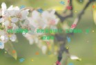 6月23日星期一，农历五月廿八，工作愉快，平安喜乐