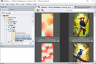 照片机械师 Photo Mechanic All-in-One 2025.6 build 8612