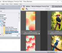 照片机械师 Photo Mechanic All-in-One 2025.6 build 8612