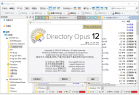 文件管理器 Directory Opus v13.11.5 Beta / v13.11 x64