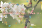 2月4日星期二，农历正月初七，工作愉快，平安喜乐