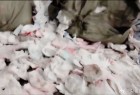 自由点被曝光：主播鬼魅一笑突然下播