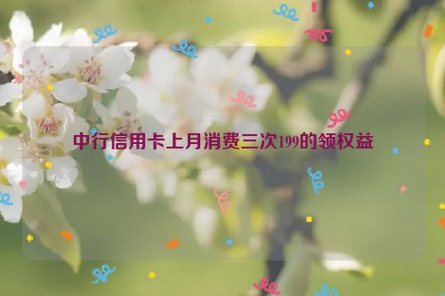 中行信用卡上月消费三次199的领权益