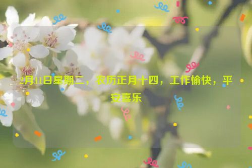 2月11日星期二，农历正月十四，工作愉快，平安喜乐