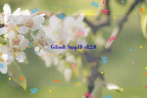 Gilisoft SnapID v8.2.0