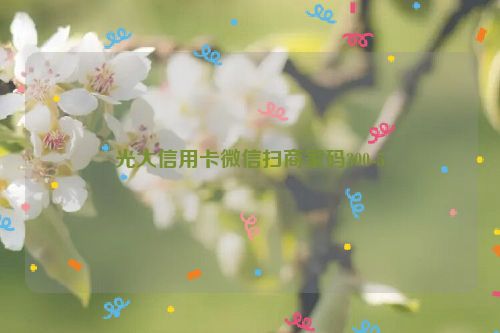 光大信用卡微信扫商家码300-5